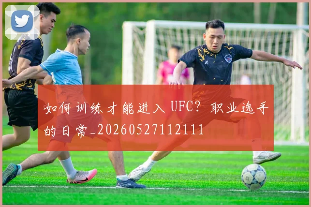 如何训练才能进入 UFC？职业选手的日常_20260527112111