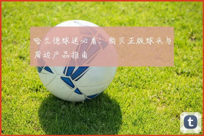 哈兰德球迷必看:购买正版球衣与周边产品指南